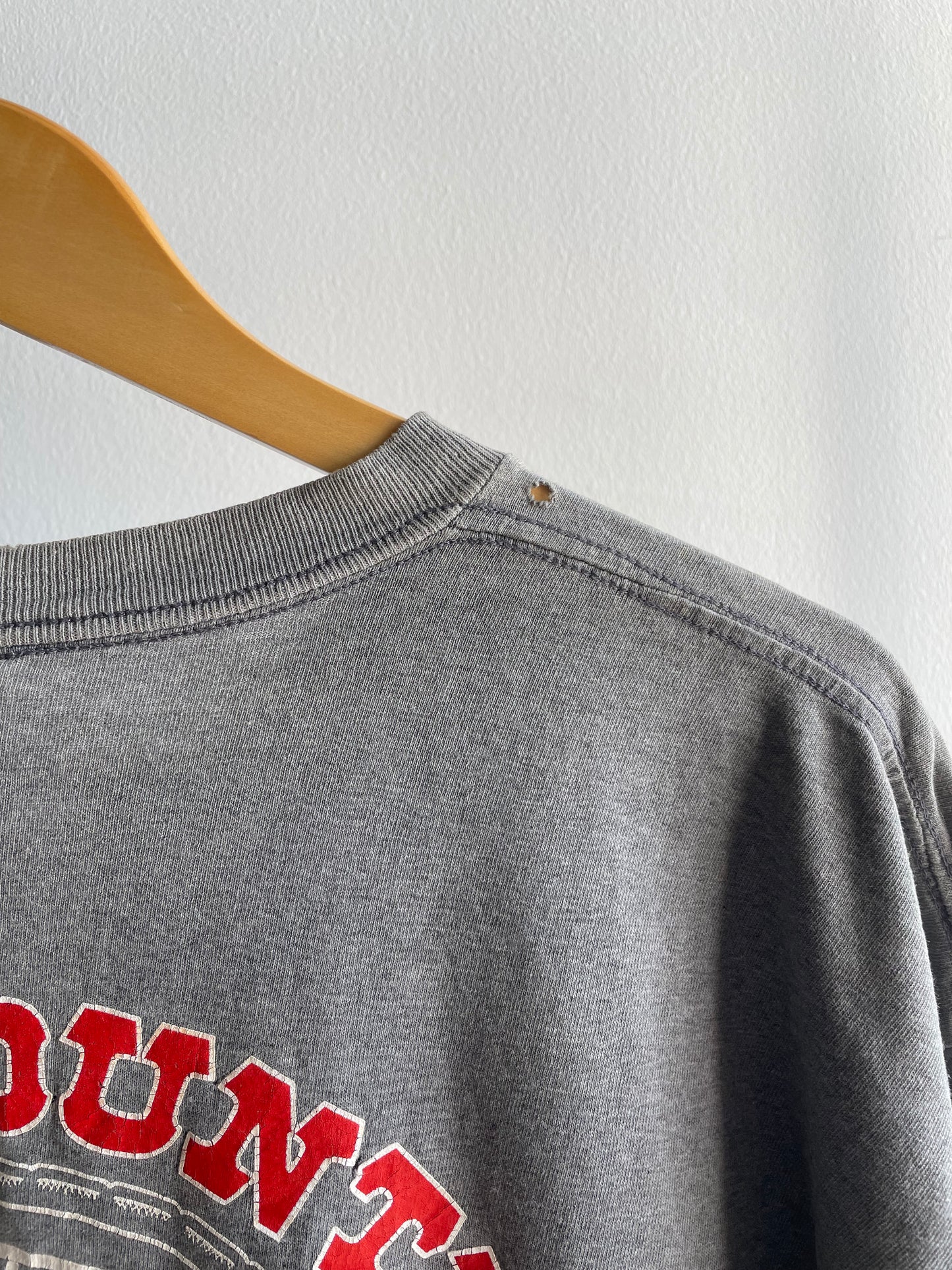 Vintage 1990s Harley Davidson T-Shirt