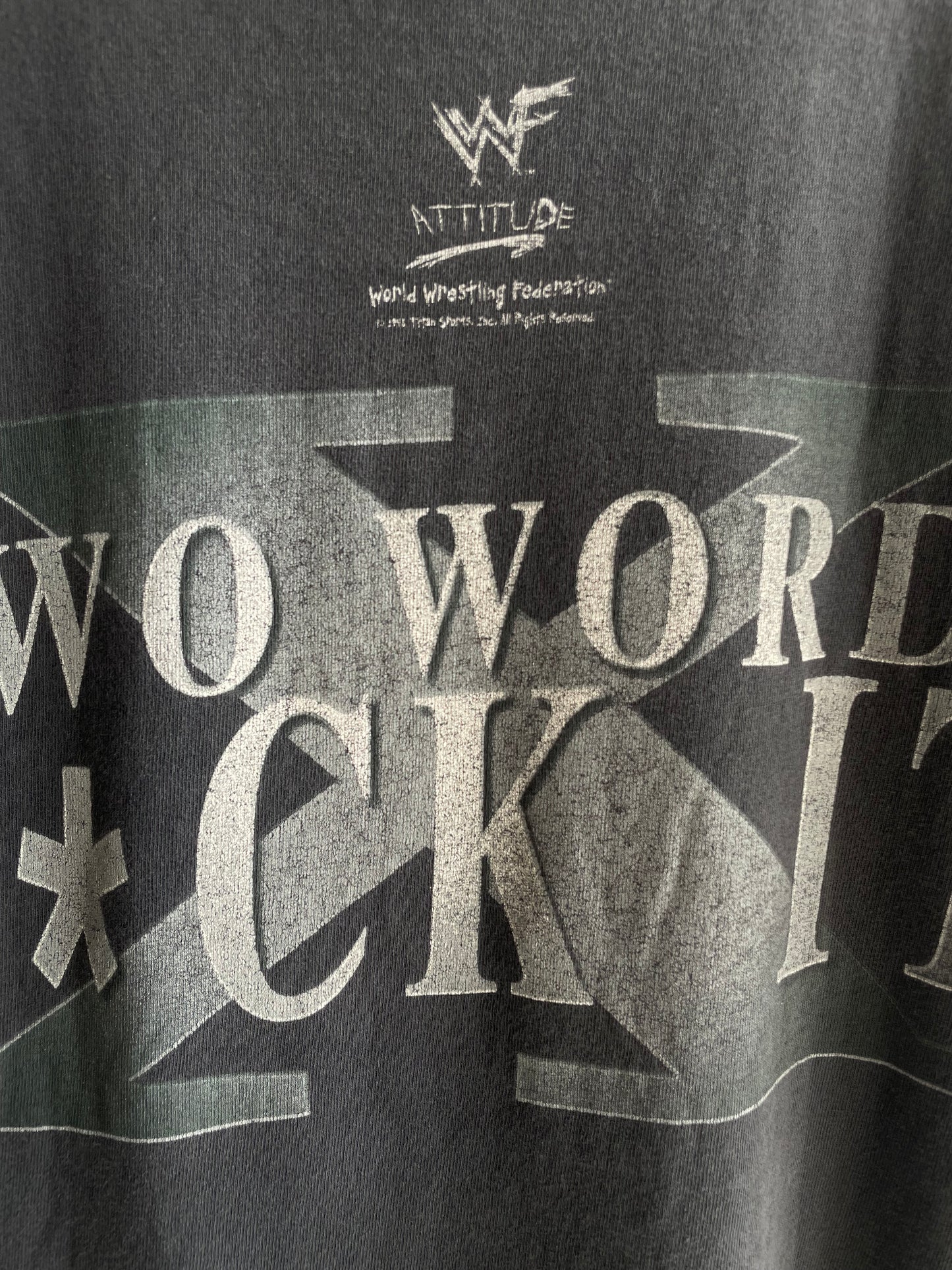 Vintage 2000s WWE DX " Two Words Suck It " T-Shirt