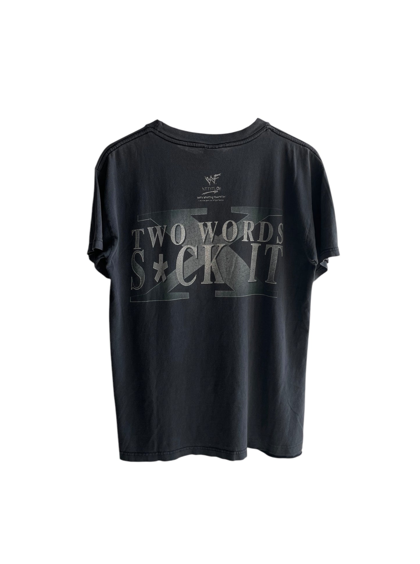 Vintage 2000s WWE DX " Two Words Suck It " T-Shirt