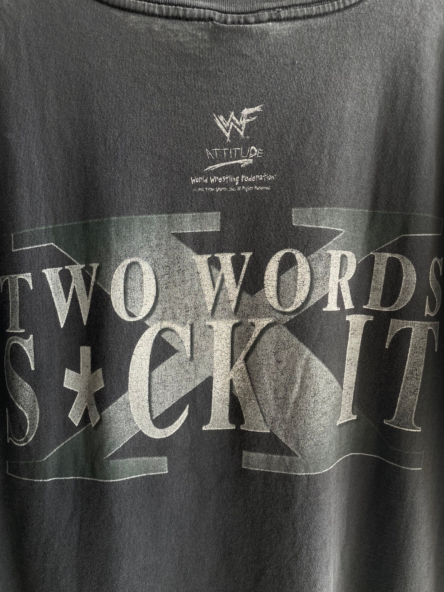 Vintage 2000s WWE DX " Two Words Suck It " T-Shirt